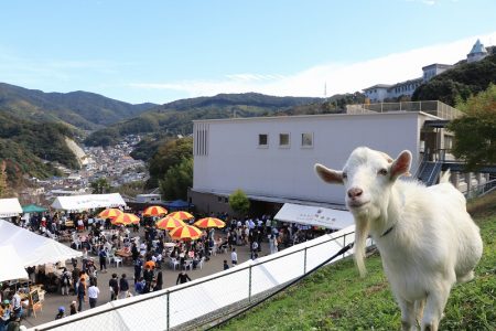 「平成30年度　第37回かもめ祭り」