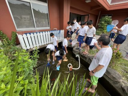 池の掃除